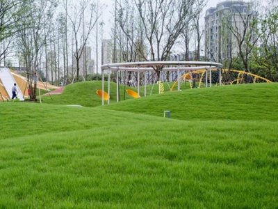 绿化草坪种子批发厂家