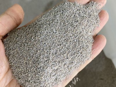 怎样种草坪种子什么时候种