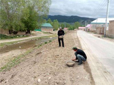 种子种草怎么成草坪