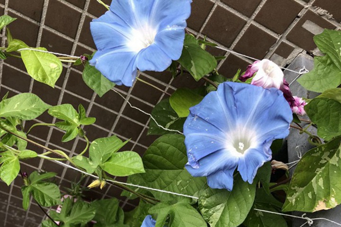 1685007865666910.jpg 13.jpg