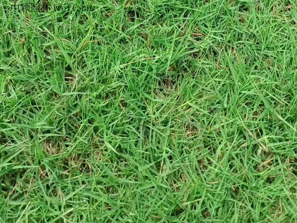 1687260420193594.jpg 微信图片_20230620191314.jpg