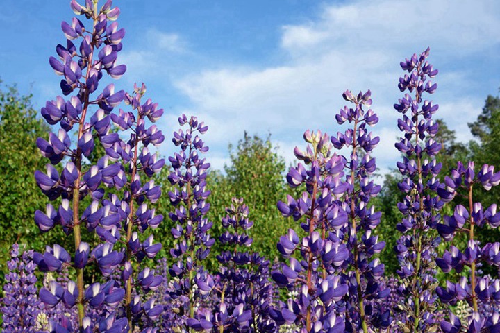 1690023208545417.jpg 20.jpg