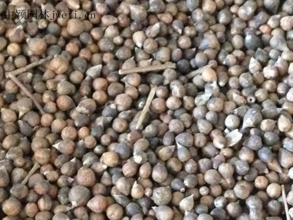 1-1G012130120591.jpg