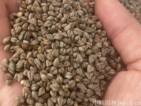 1691920438929509.jpg 微信图片_20230813160321.jpg