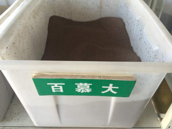 1693744340565017.jpg 百慕大.jpg