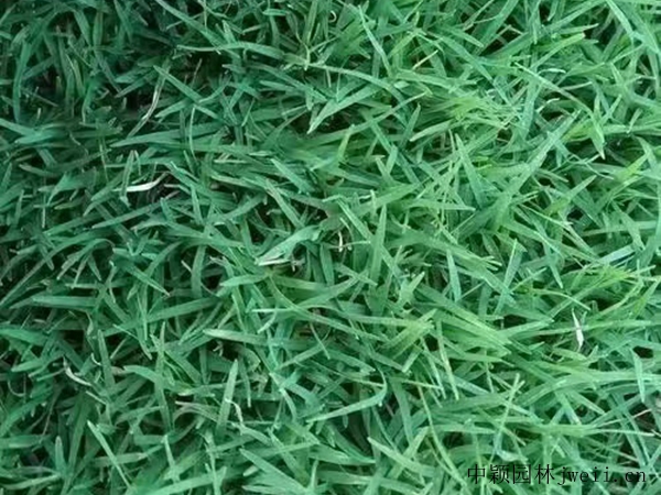 1694220183306852.jpg 微信图片_20230620191334.jpg