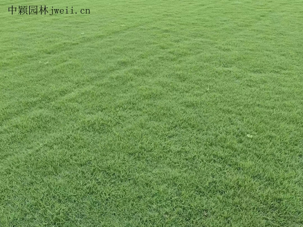 1694220263655158.jpg 微信图片_20230620191308.jpg