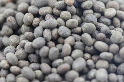 六七月能播种花卉吗？