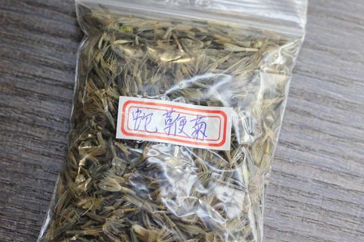 1697028840728075.jpg 蛇鞭菊 (7).JPG
