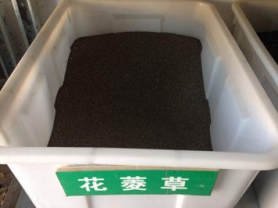 花菱草种子哪里有卖？