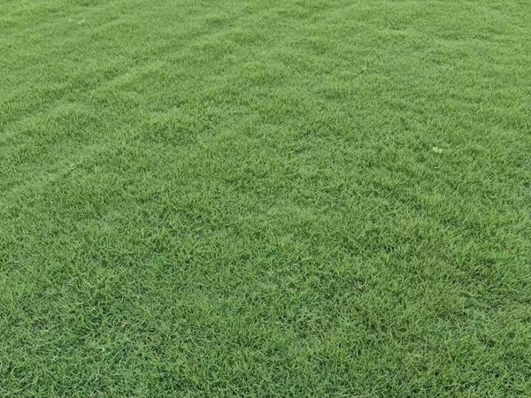 1710503488.jpg qw.jpg