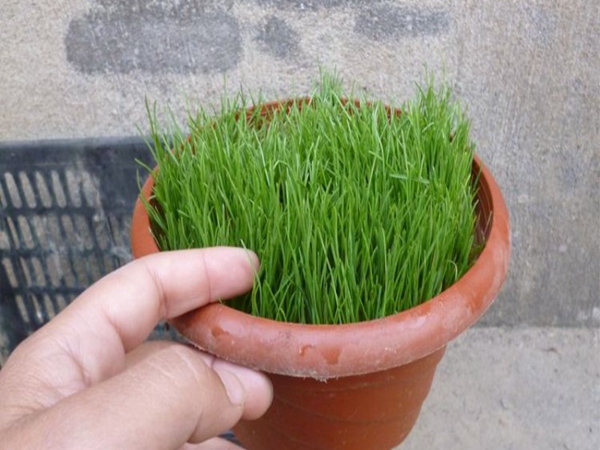 1713351796.jpg 12.jpg