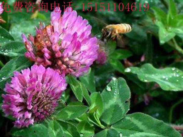 1713587420.jpg 6_副本.jpg