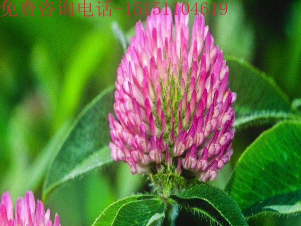 1713588363.jpg 2_副本.jpg