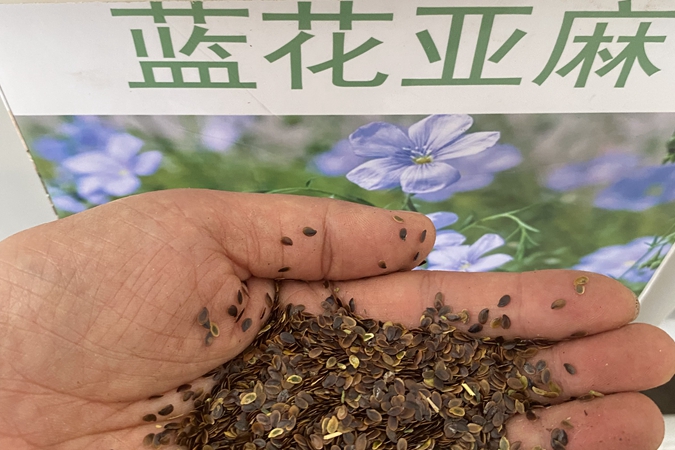 1717309529.jpg 蓝花亚麻a.jpg