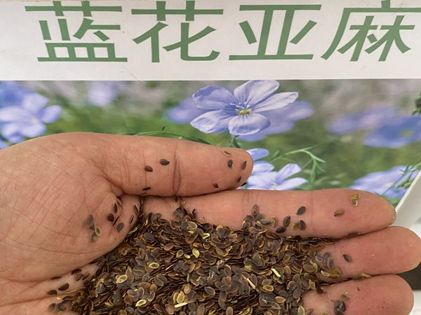 1726030886.jpg 蓝花亚麻0.jpg
