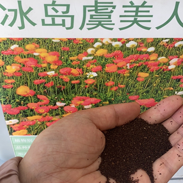 1732538065.jpg 微信图片_20241125132203.jpg