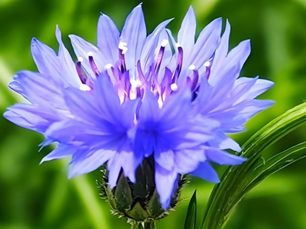 微信图片_20260725133634.png