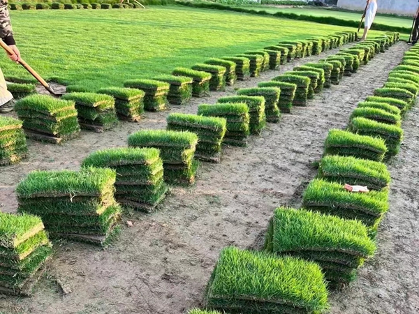68.jpg