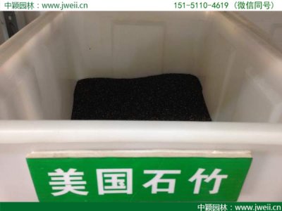 虞美人的发芽温度是多少？