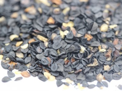 花卉种子美国石竹多少钱一斤？