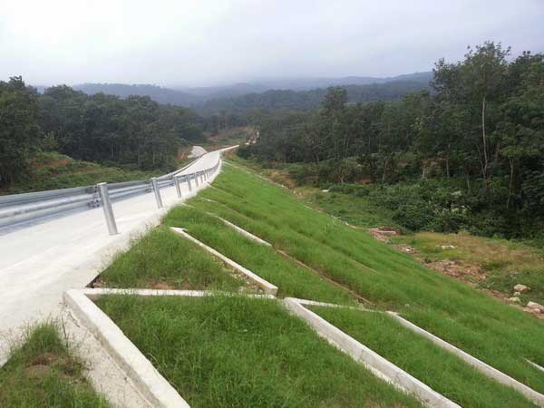 高铁铁路植草护坡工程图片