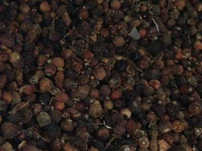 七月份可以种玫瑰花吗？
