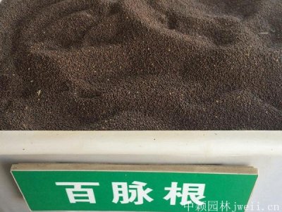 百脉根几月份播种？