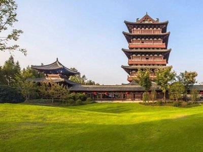 安徽绿化草坪种子价格行情