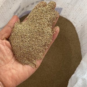抗热抗寒草坪种子那个好