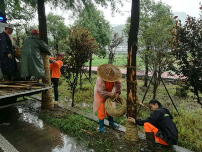 缠土球的方法图解